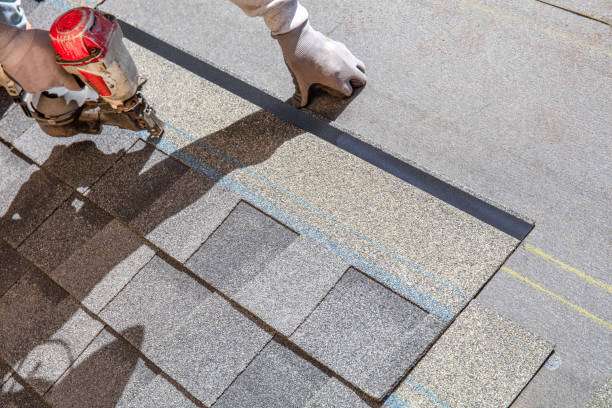 Best Roof Maintenance Services  in Burlington, WA