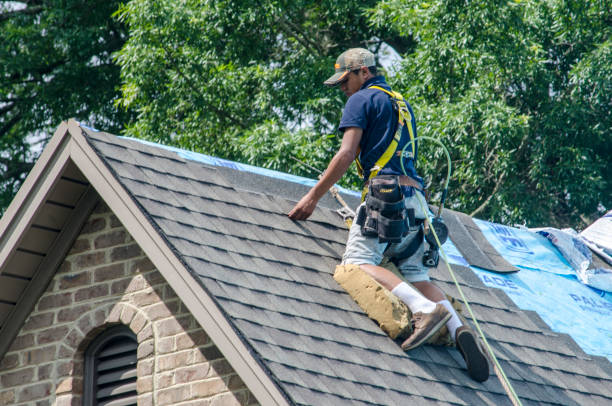 Best Roof Leak Repair  in Burlington, WA